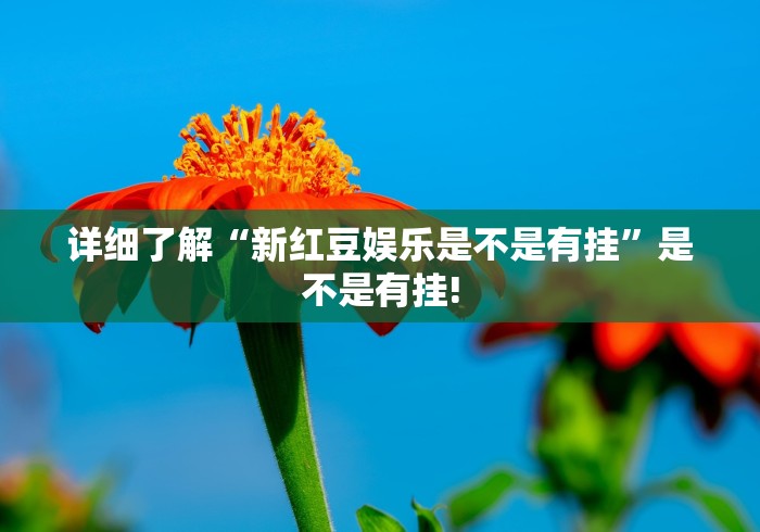 详细了解“新红豆娱乐是不是有挂”是不是有挂! 详细了解“新红豆娱乐是不是有挂”是不是有挂!