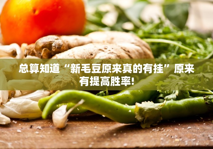 总算知道“新毛豆原来真的有挂”原来有提高胜率! 总算知道“新毛豆原来真的有挂”原来有提高胜率!