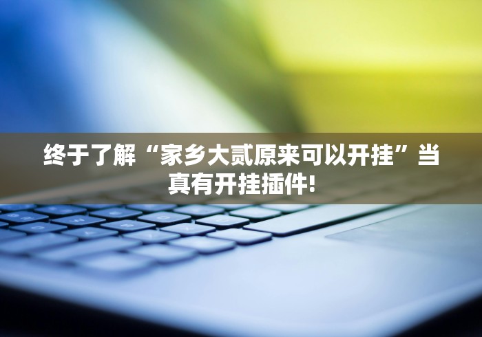 终于了解“家乡大贰原来可以开挂”当真有开挂插件!