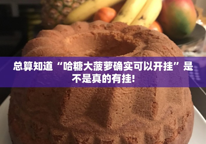 总算知道“哈糖大菠萝确实可以开挂”是不是真的有挂! 总算知道“哈糖大菠萝确实可以开挂”是不是真的有挂!
