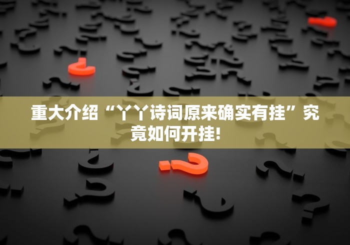 重大介绍“丫丫诗词原来确实有挂”究竟如何开挂!