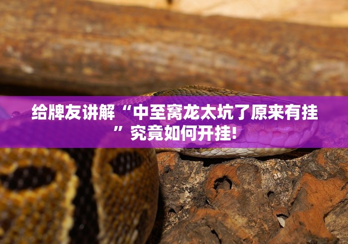 给牌友讲解“中至窝龙太坑了原来有挂”究竟如何开挂! 给牌友讲解“中至窝龙太坑了原来有挂”究竟如何开挂!