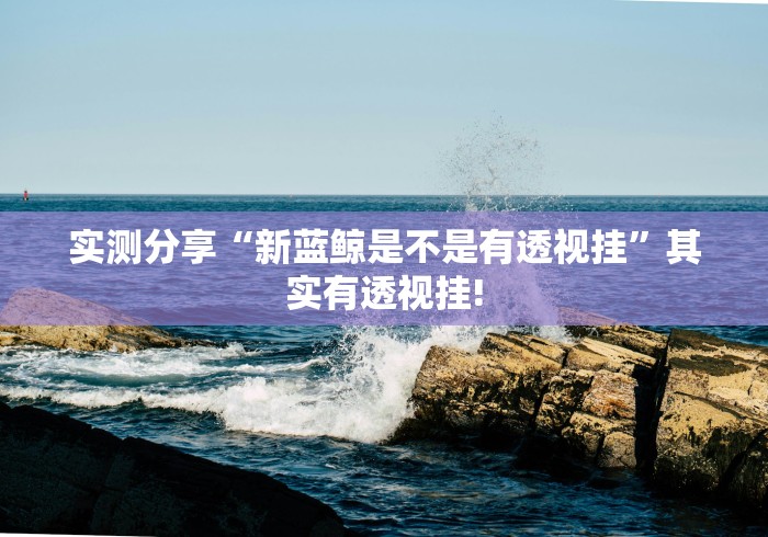 实测分享“新蓝鲸是不是有透视挂”其实有透视挂!