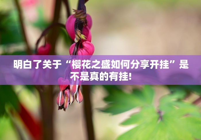 明白了关于“樱花之盛如何分享开挂”是不是真的有挂!