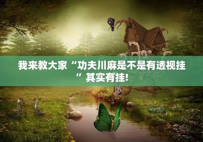 我来教大家“功夫川麻是不是有透视挂”其实有挂! 我来教大家“功夫川麻是不是有透视挂”其实有挂!