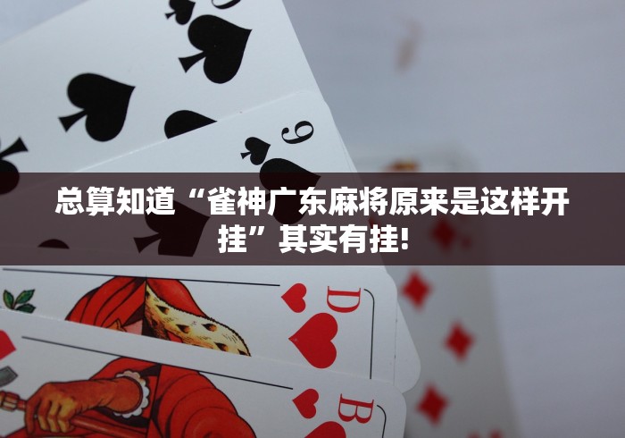 总算知道“雀神广东麻将原来是这样开挂”其实有挂!