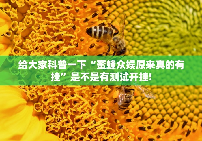 给大家科普一下“蜜蜂众娱原来真的有挂”是不是有测试开挂!