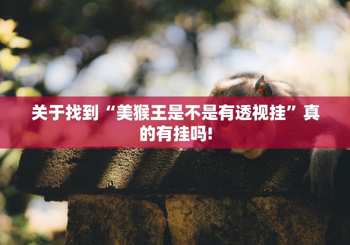关于找到“美猴王是不是有透视挂”真的有挂吗!