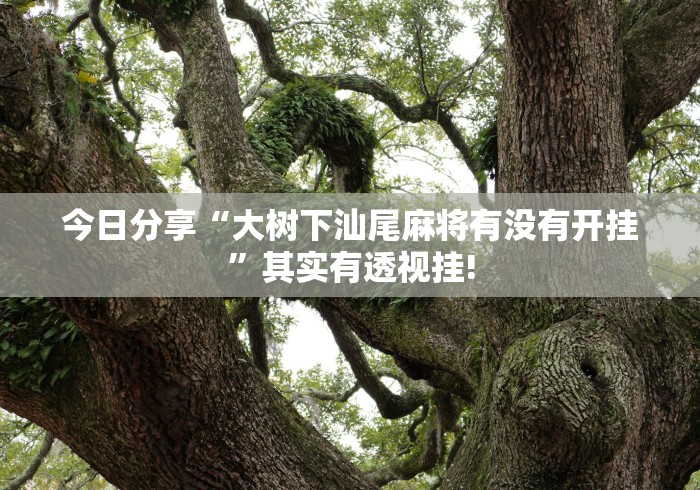 今日分享“大树下汕尾麻将有没有开挂”其实有透视挂!