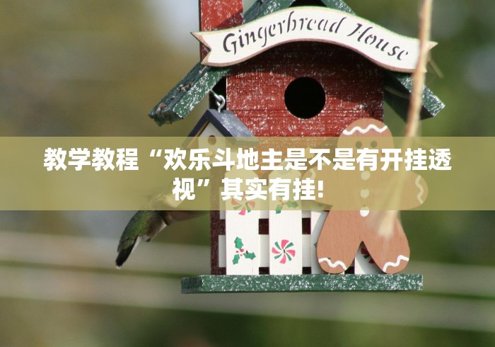 教学教程“欢乐斗地主是不是有开挂透视”其实有挂!