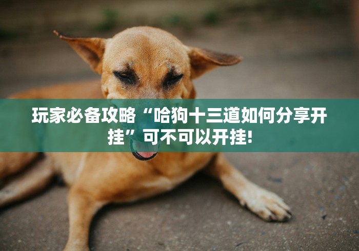 跟你推荐一款“飞驰娱乐真的可以开挂”万能开挂测试!