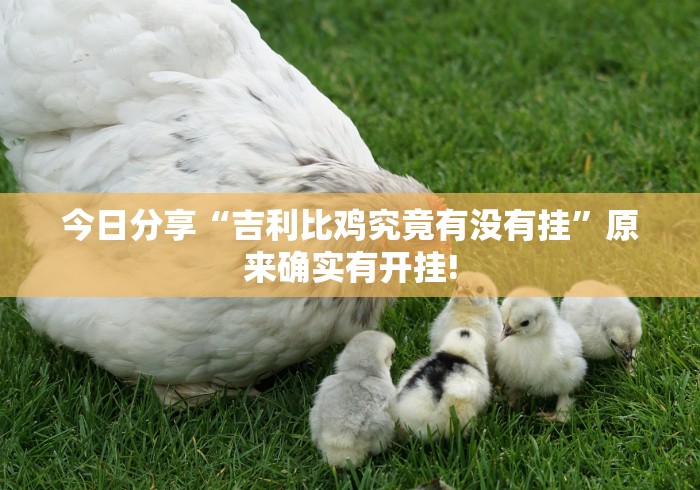 今日分享“吉利比鸡究竟有没有挂”原来确实有开挂! 今日分享“吉利比鸡究竟有没有挂”原来确实有开挂!