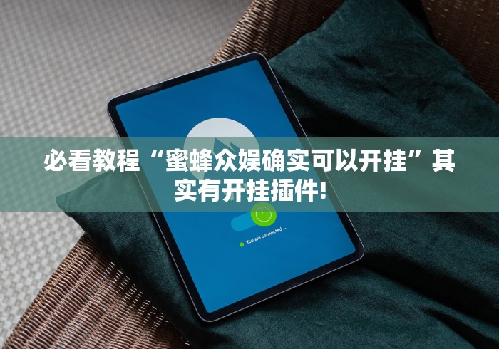 必看教程“蜜蜂众娱确实可以开挂”其实有开挂插件!