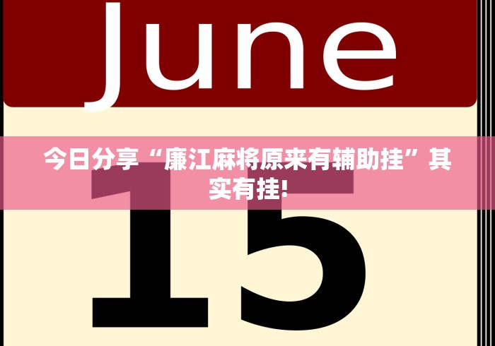 今日分享“廉江麻将原来有辅助挂”其实有挂!
