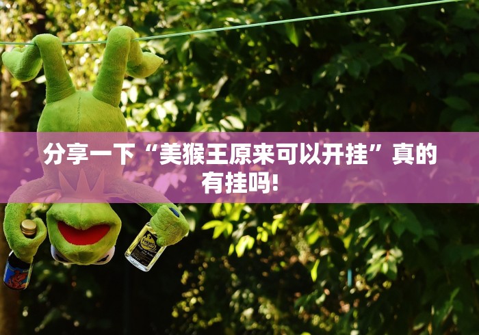 分享一下“美猴王原来可以开挂”真的有挂吗!