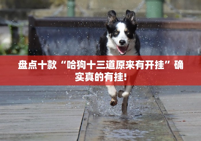 盘点十款“哈狗十三道原来有开挂”确实真的有挂!