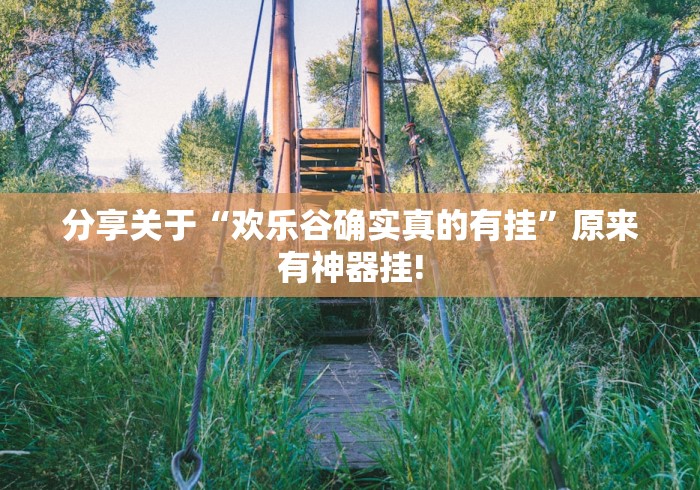 分享关于“欢乐谷确实真的有挂”原来有神器挂!