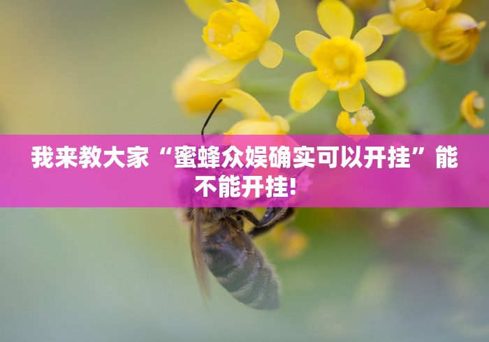 我来教大家“蜜蜂众娱确实可以开挂”能不能开挂!