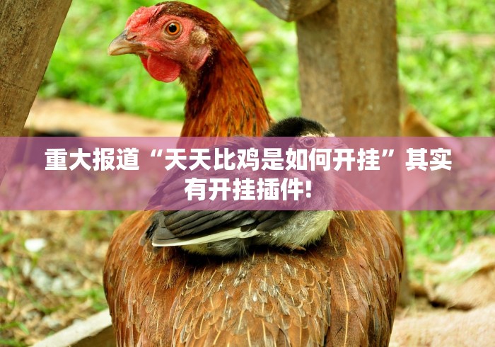 重大报道“天天比鸡是如何开挂”其实有开挂插件!