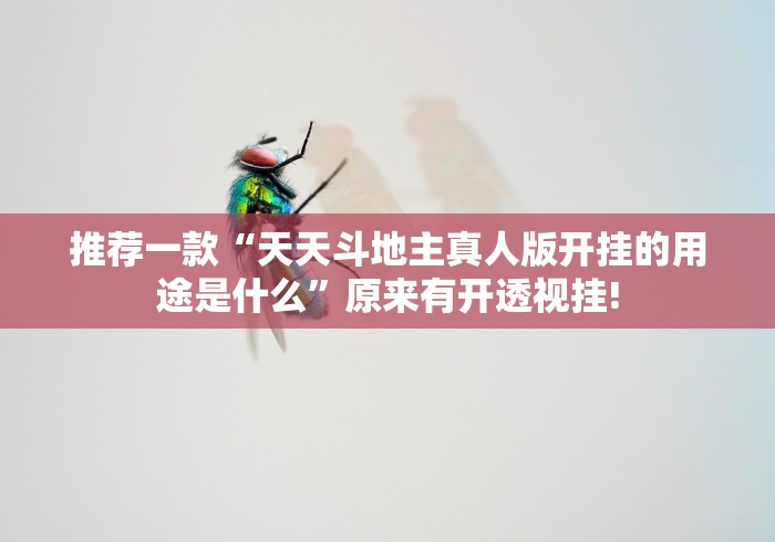 推荐一款“天天斗地主真人版开挂的用途是什么”原来有开透视挂!