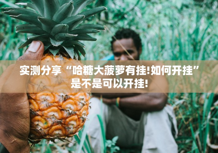 实测分享“哈糖大菠萝有挂!如何开挂”是不是可以开挂! 实测分享“哈糖大菠萝有挂!如何开挂”是不是可以开挂!