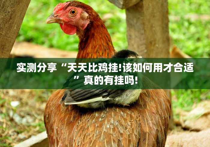 实测分享“天天比鸡挂!该如何用才合适”真的有挂吗!