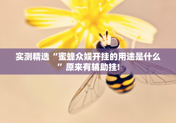 实测精选“蜜蜂众娱开挂的用途是什么”原来有辅助挂!