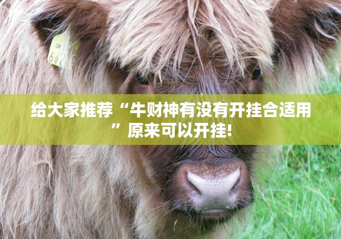 给大家推荐“牛财神有没有开挂合适用”原来可以开挂!