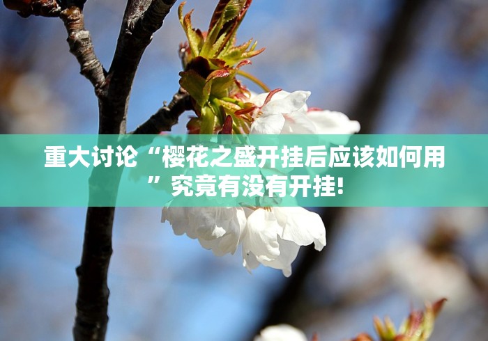 重大讨论“樱花之盛开挂后应该如何用”究竟有没有开挂!