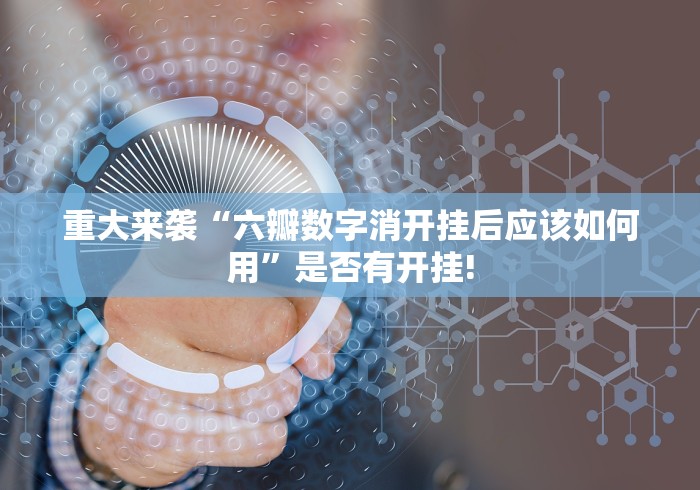 重大来袭“六瓣数字消开挂后应该如何用”是否有开挂!
