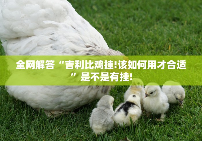 全网解答“吉利比鸡挂!该如何用才合适”是不是有挂! 全网解答“吉利比鸡挂!该如何用才合适”是不是有挂!