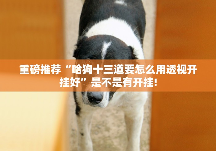 重磅推荐“哈狗十三道要怎么用透视开挂好”是不是有开挂!