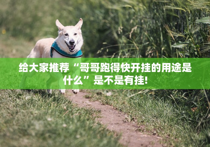 给大家推荐“哥哥跑得快开挂的用途是什么”是不是有挂!