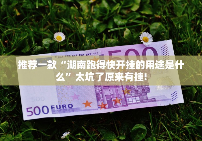 推荐一款“湖南跑得快开挂的用途是什么”太坑了原来有挂! 推荐一款“湖南跑得快开挂的用途是什么”太坑了原来有挂!