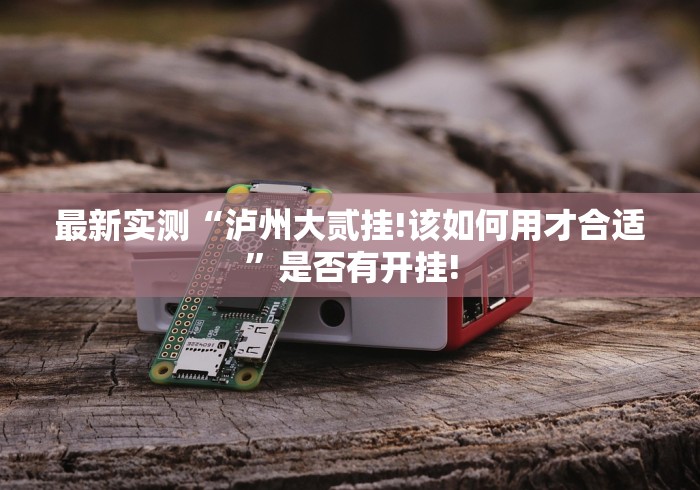 最新实测“泸州大贰挂!该如何用才合适”是否有开挂!