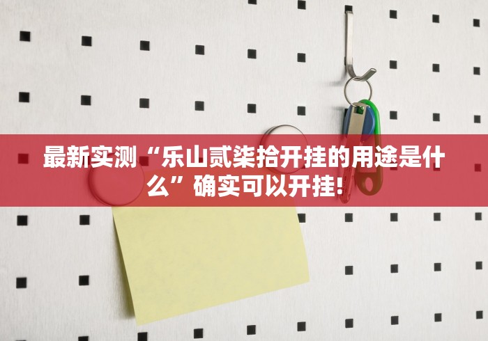 最新实测“乐山贰柒拾开挂的用途是什么”确实可以开挂!