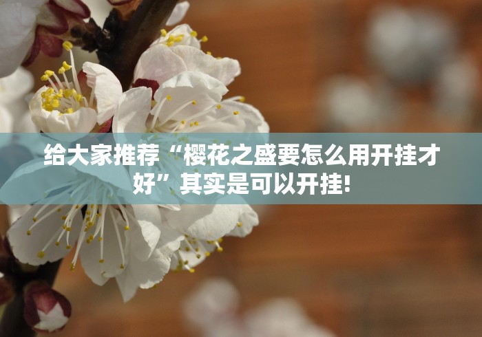 给大家推荐“樱花之盛要怎么用开挂才好”其实是可以开挂!