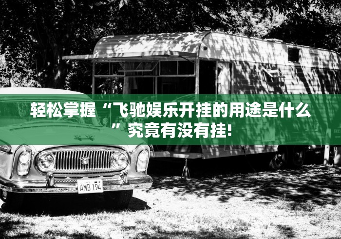 轻松掌握“飞驰娱乐开挂的用途是什么”究竟有没有挂!