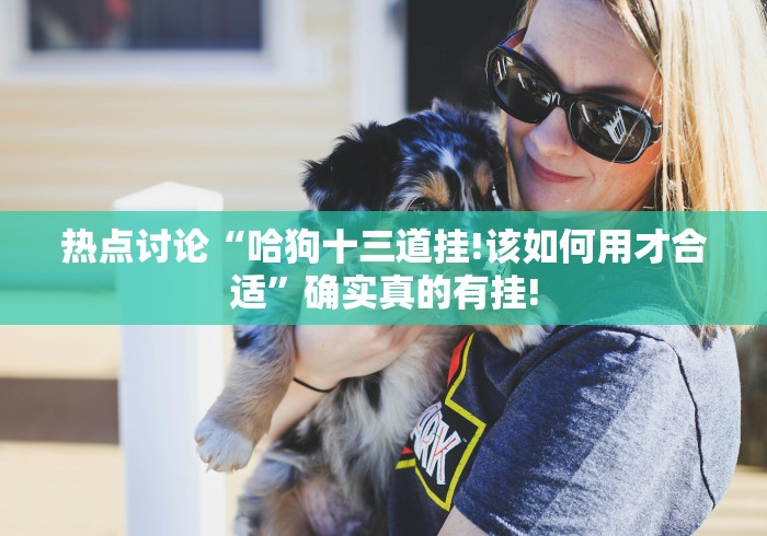 热点讨论“哈狗十三道挂!该如何用才合适”确实真的有挂!