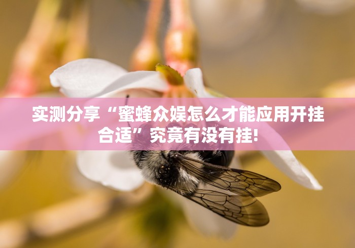 实测分享“蜜蜂众娱怎么才能应用开挂合适”究竟有没有挂!
