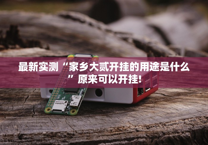 最新实测“家乡大贰开挂的用途是什么”原来可以开挂!